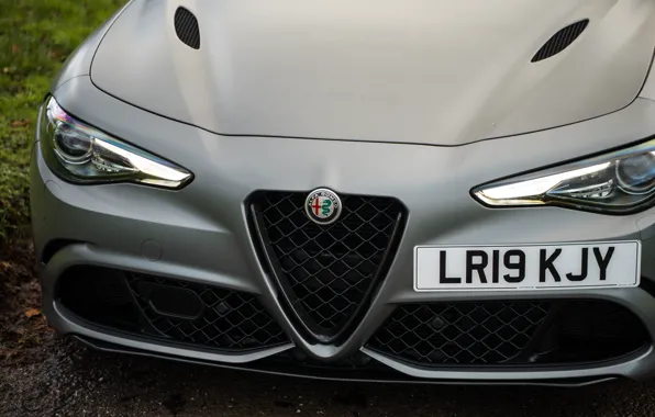 Alfa Romeo, logo, front, Giulia, grille, Alfa Romeo Giulia Quadrifoglio NRING