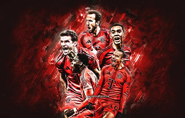 Germany, Football, FCB, Sport, Soccer, Bayern, Bayern Munchen, Bayern Munich