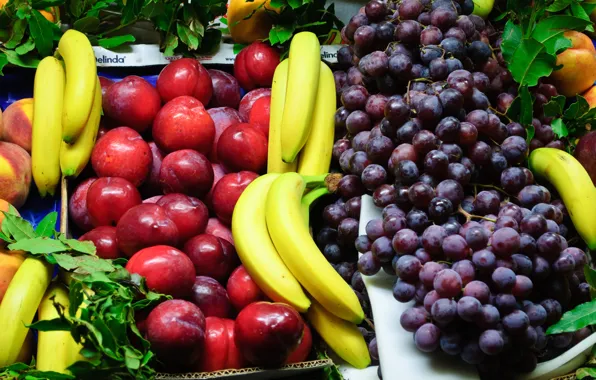 Leaves, grapes, bananas, fruit, peaches, plum