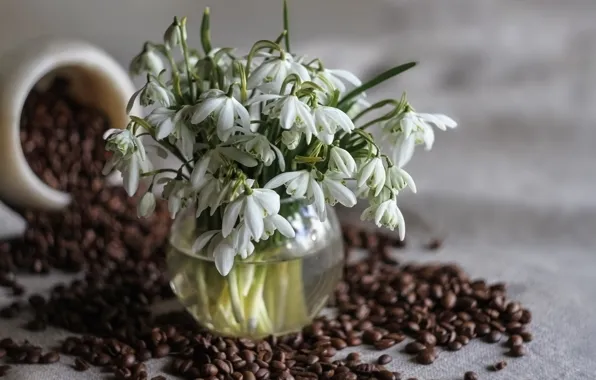 Picture flowers, coffee, bouquet, snowdrops, white, still life, coffee beans