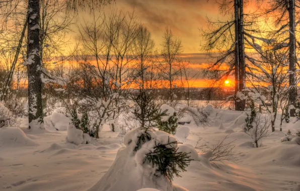 Winter, the sky, the sun, clouds, landscape, sunset, nature, white