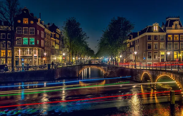 Trees, line, landscape, night, bridge, life, lights, darkness