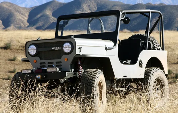 Grass, mountains, tuning, jeep, SUV, tuning, the front, jeep