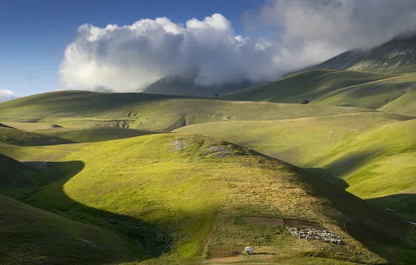 The sky, grass, mountains, field, sheep