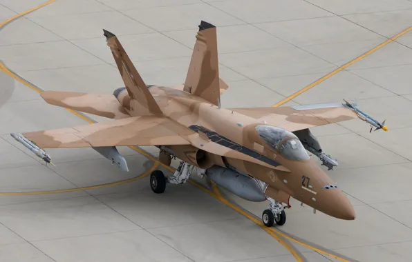 Fighter, the airfield, multipurpose, Hornet, CF-18