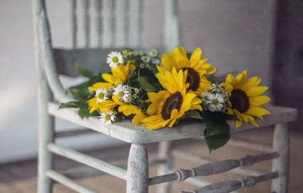 Flowers, background, chair