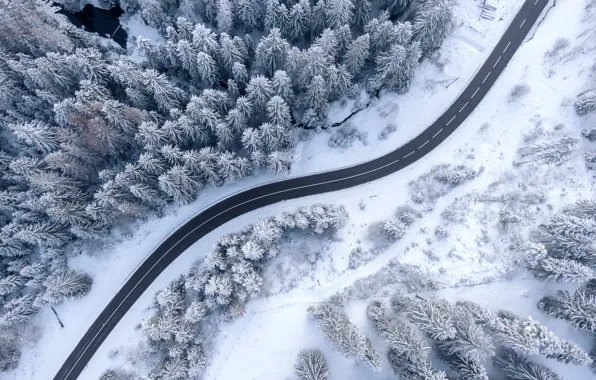 Winter, road, forest