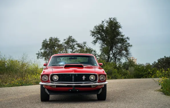 Mustang, Ford, Muscle, 1969, Red, Car, Classic, Musclecar