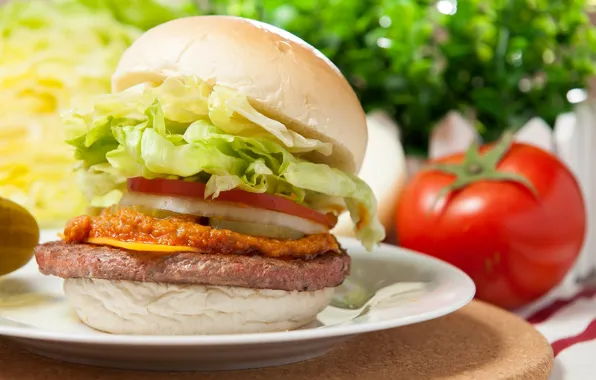 Tomato, hamburger, Patty, salad