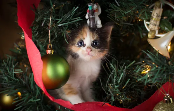 Picture decoration, toys, new year, tree, kitty