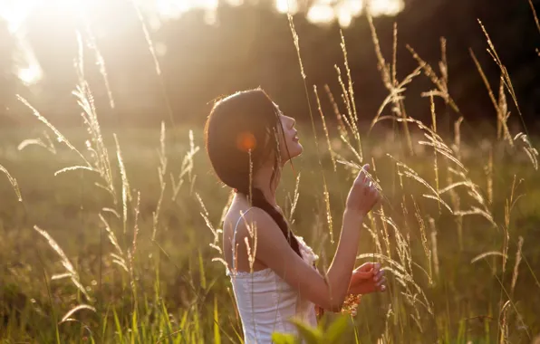 Wallpaper girl, field, summer, the sun, grass, ears