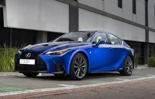 Picture car, Lexus, luxury