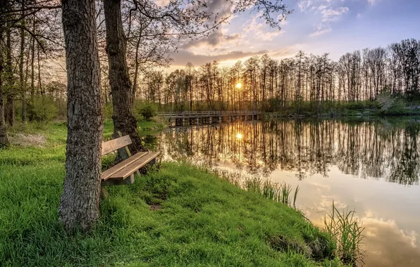 Sunset, lake, Park, bench