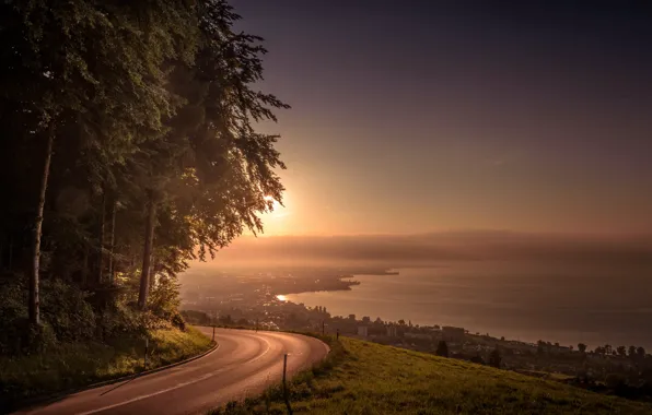 Picture road, light, morning