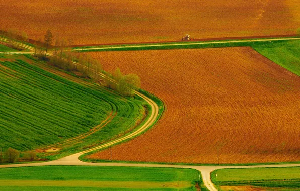 Road, field, trees, field, road, tractor