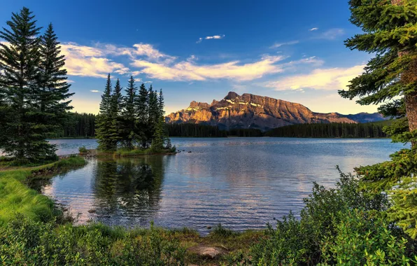 Forest, the sky, grass, clouds, trees, mountains, lake, shore