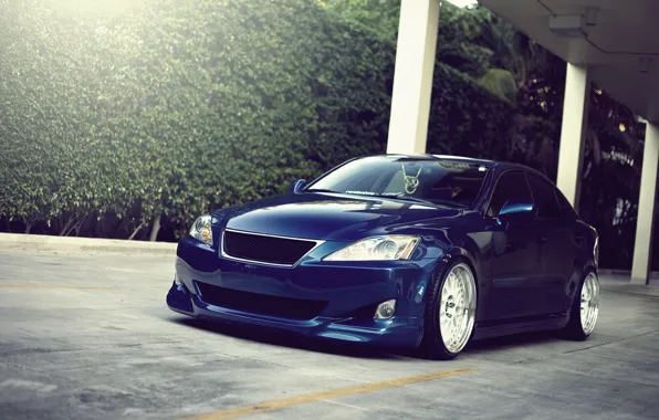 Blue, Lexus, BBS, ES350