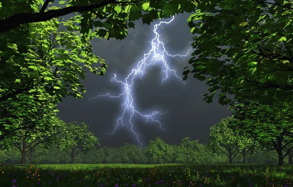 The storm, trees, night, lightning, garden