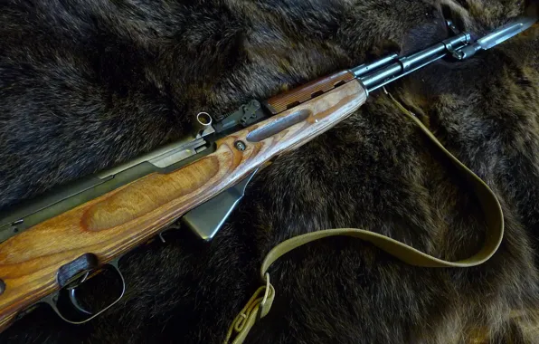 Weapons, the skin of a bear, SKS