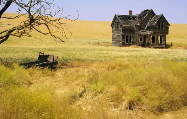 Field, landscape, house