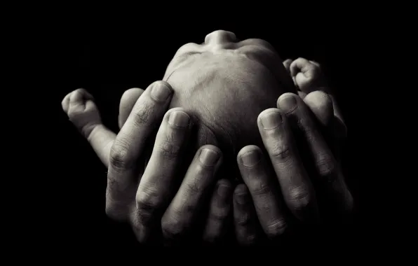Life, hands, baby