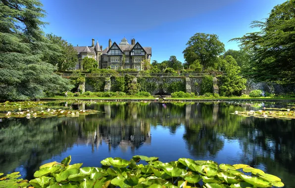 Picture nature, pond, photo, garden, UK, water lilies, Bodnant Conwy Wales