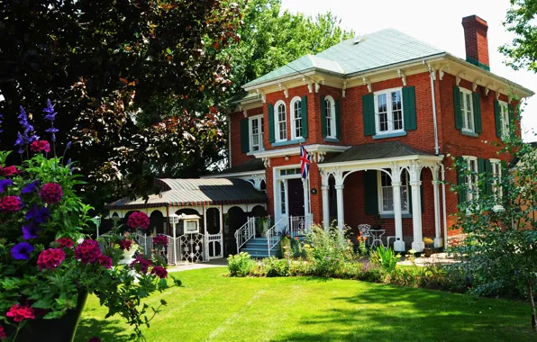Flowers, the city, house, garden, cottage