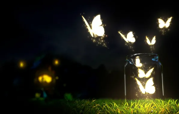 Picture grass, night, lights, Bank, moth