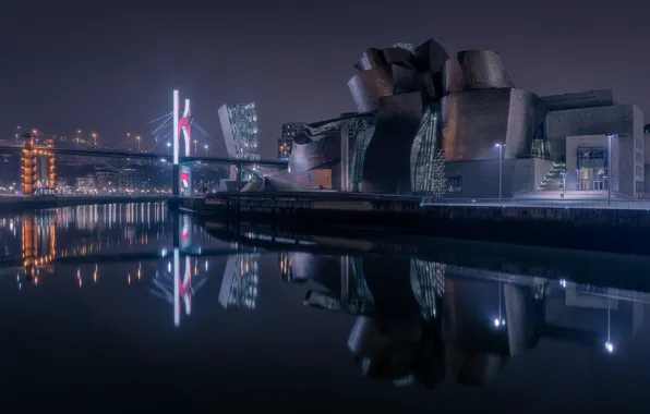 Picture night, bridge, the city, river, lighting, architecture, Spain, Bilbao