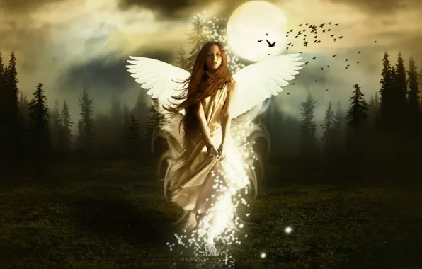 Picture wallpaper, angel, Red hair, white wings