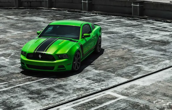 Strip, green, mustang, Mustang, the hood, the fence, green, ford