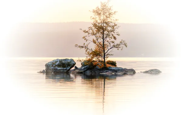 Autumn, trees, lake, stones, island