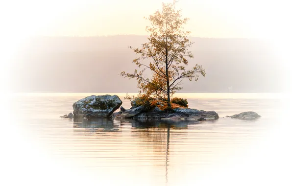 Autumn, lake, stones, tree, island