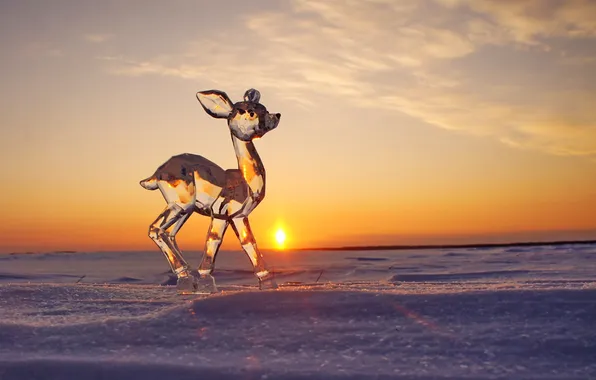 Ice, winter, the sun, snow, sunset, sculpture, fawn