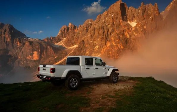 White, tops, SUV, pickup, Gladiator, ass, 4x4, Jeep