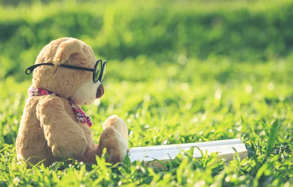 Summer, grass, toy, bear, glasses, bear, book, summer
