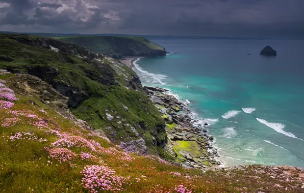 Sea, the sky, flowers, clouds, stones, rocks, shore, coast