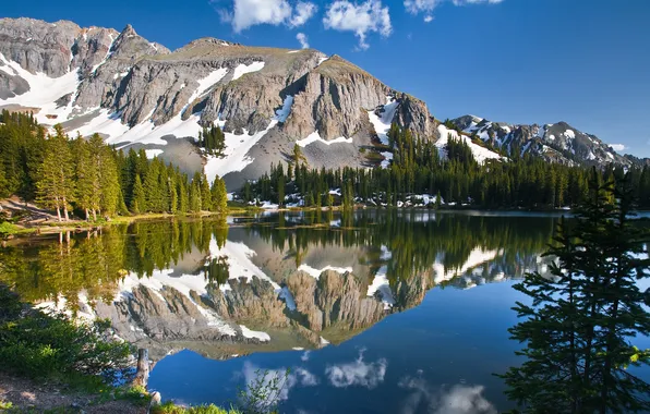 Picture trees, mountains, lake, reflection