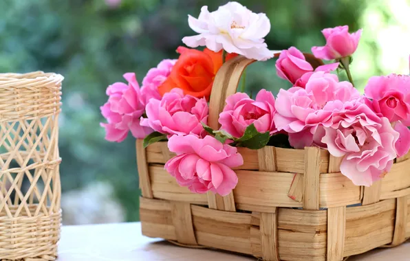 Picture roses, petals, basket, © Elena Di Guardo
