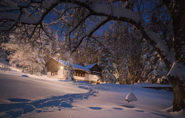 Winter, forest, snow, trees, home, the snow, path, Bulgaria