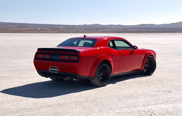 Dodge, Challenger, rear view, Widebody, Scat Pack, Challenger RT, 2019