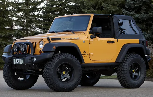 Trees, yellow, concept, jeep, SUV, the concept, the front, jeep