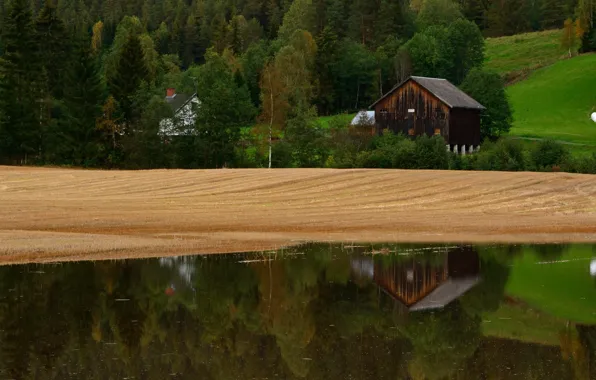 Picture Nature, Field, Lake, Norway, Nature, Norway, Field, Lake