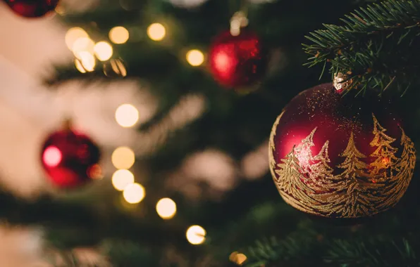Forest, decoration, branches, red, lights, holiday, toy, toys