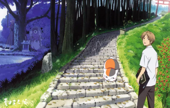 Road, cat, tree, gate, schoolgirl, the altar, The Natsume book of friendship, youkai