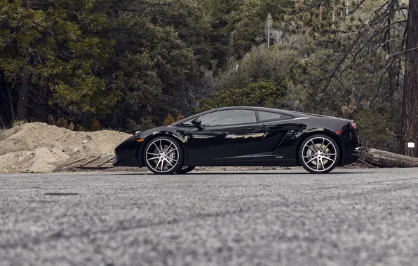 Trees, black, profile, gallardo, lamborghini, drives, black, Lamborghini