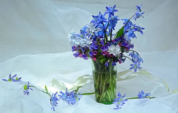 Flowers, beauty, spring, snowdrops, may, primroses, a bunch, Scilla