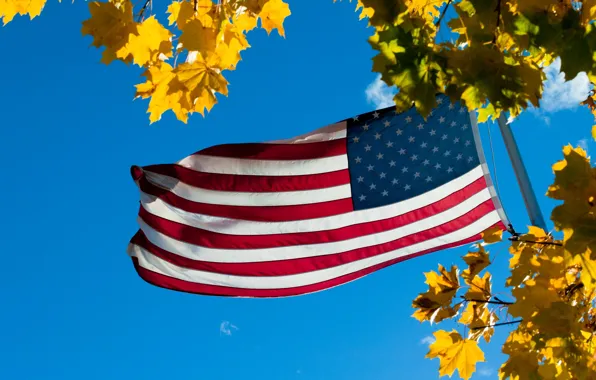 Picture the sky, leaves, flag