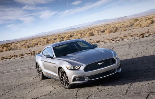 Picture Mustang, Ford, horizon, Ford, Mustang, the front, Muscle car, Muscle car