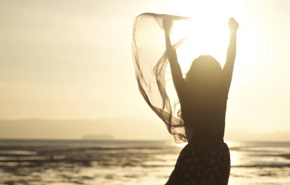Picture sea, summer, girl, the evening